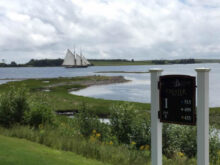 chestergolf3.jpg