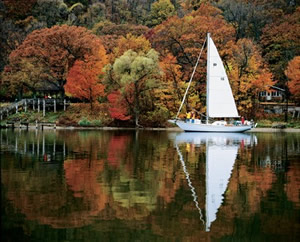 Sailboats in Chester Harbour